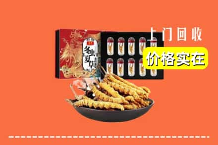 东营市广饶回收虫草